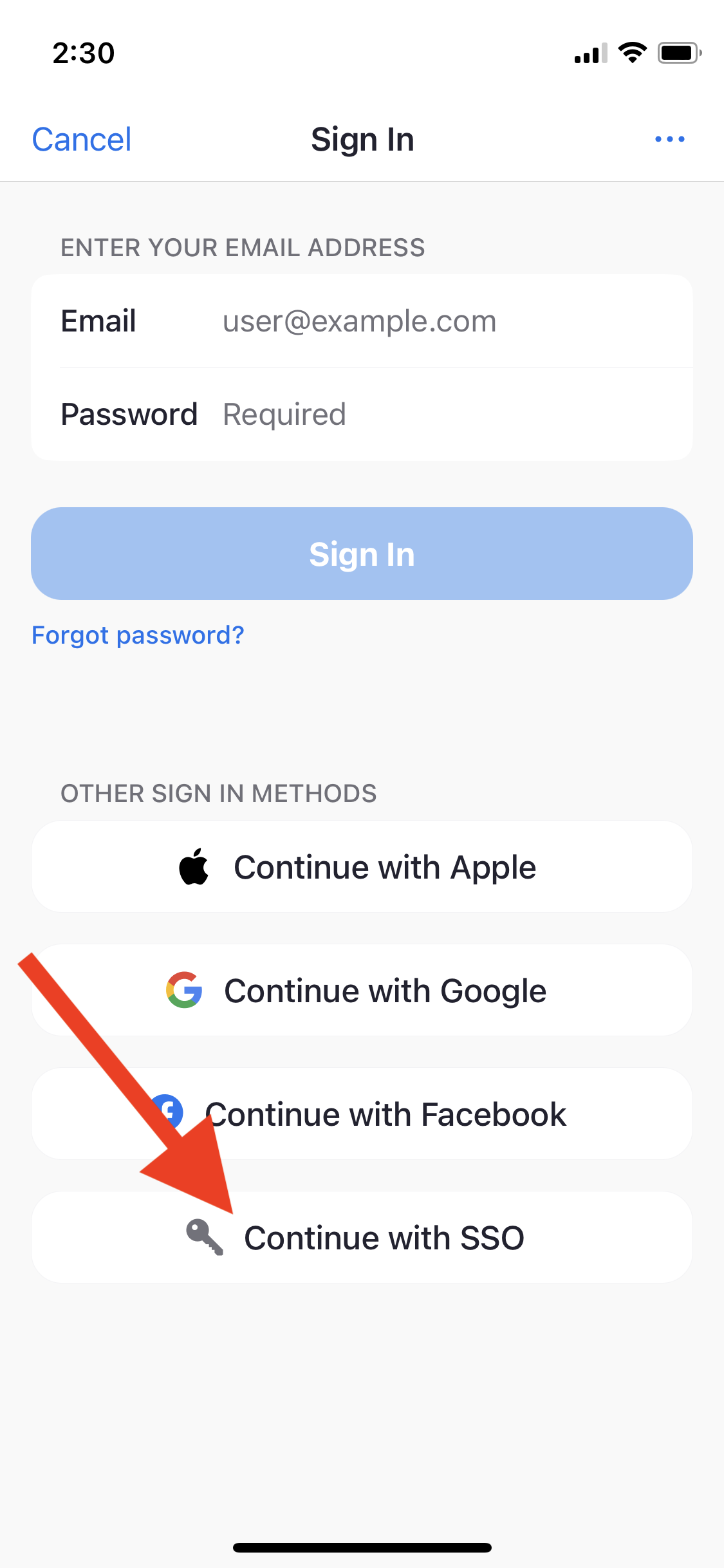 mobile-zoom-sign-in-2-169x300.png