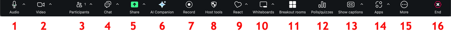 Zoom menu.png