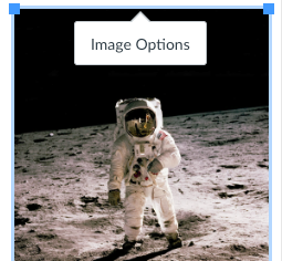 Canva image options